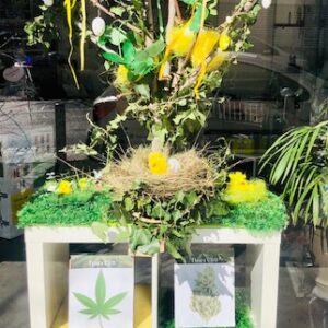 CBD présent en vitrine afin de communiquer sur ces nouveaux articles