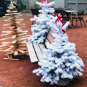 Extérieur avec sapin blanc floqué, et sapin de bois