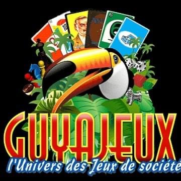 Agencement et installation du nouveau magasin de jeux « Guyajeux » à Salon de Provence (13)
