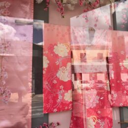 Kimono et fleurs de cerisiers