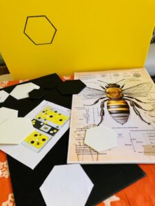 Planche anatomique abeille pour le thème Printemps de la vitrine de la pharmacie