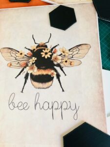Planche anatomique abeille pour le thème Printemps de la vitrine de la pharmacie