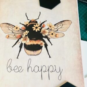 Préparation des décors et des planches anatomiques des abeilles