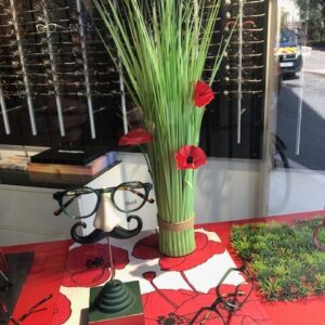 Collection optique et solaires