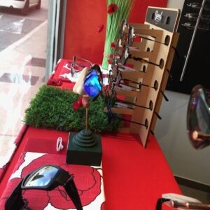 Les coquelicots sont à l'honneur dans les vitrines d'optique d'Eguilles (13)