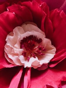 Gros plan sur le travail de confection des fleurs géantes en papier crépon italien