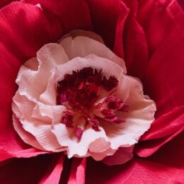 Gros plan sur le travail de confection des fleurs géantes en papier crépon italien