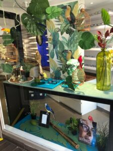 Mise en scène des vitrines à Eguilles