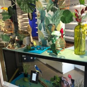 Oiseaux, fleurs et plantes tropicales