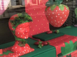 Décors gourmands pour les collections d'optique d'Eguilles