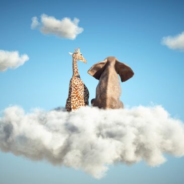 Formation de Formateur (13)