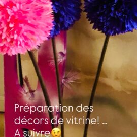 Catherine Montillot Décoratrice et Formatrice tous Commerces (13)