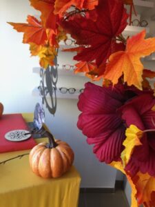 Catherine Montillot Décoratrice et Formatrice pour Opticien (13)