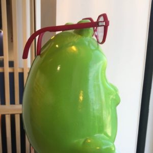 Grenouille attentive en vitrine !