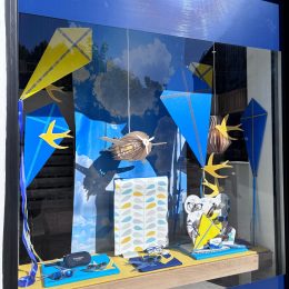 Catherine Montillot Décoratrice et Formatrice Opticiens en PACA