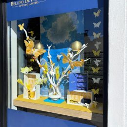 Catherine Montillot Décoratrice et Formatrice en région PACA